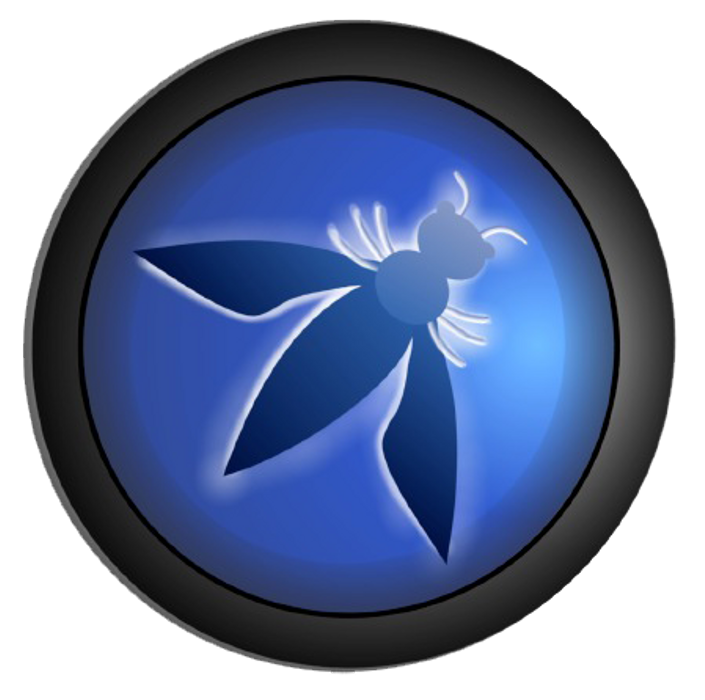 OWASP